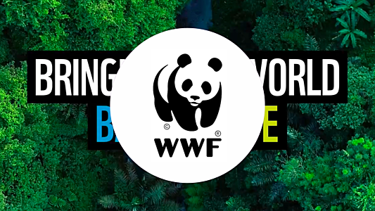 Help WWF-Canada ensure that wildlife, nature and people thrive together. 