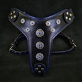 ''Bijou'' harness Black & Blue for big dogs