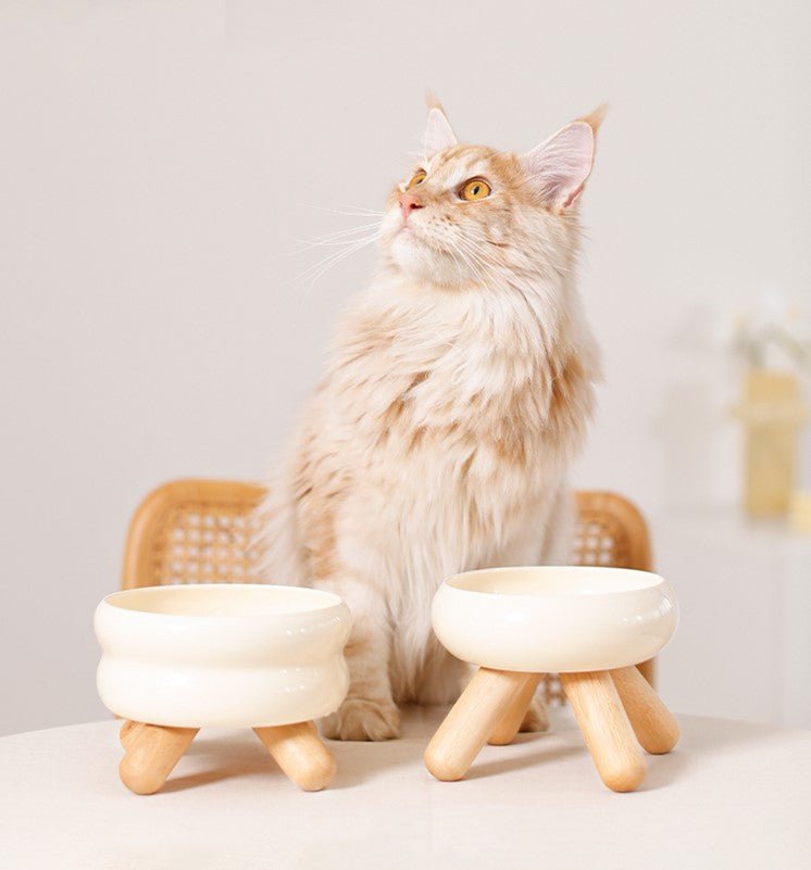 Gulu Elevated Ceramic Pet Water Bowl with Wooden Stand